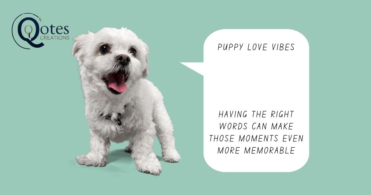 new puppy quotes