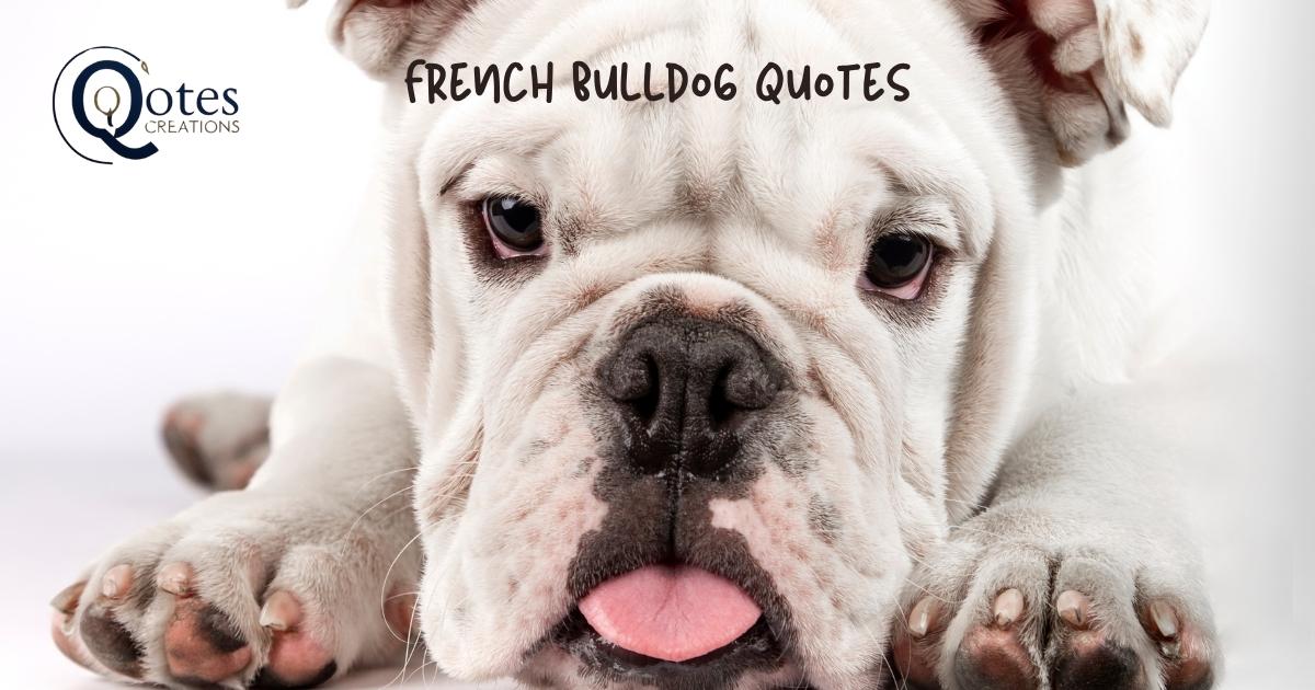 French Bulldog Quotes