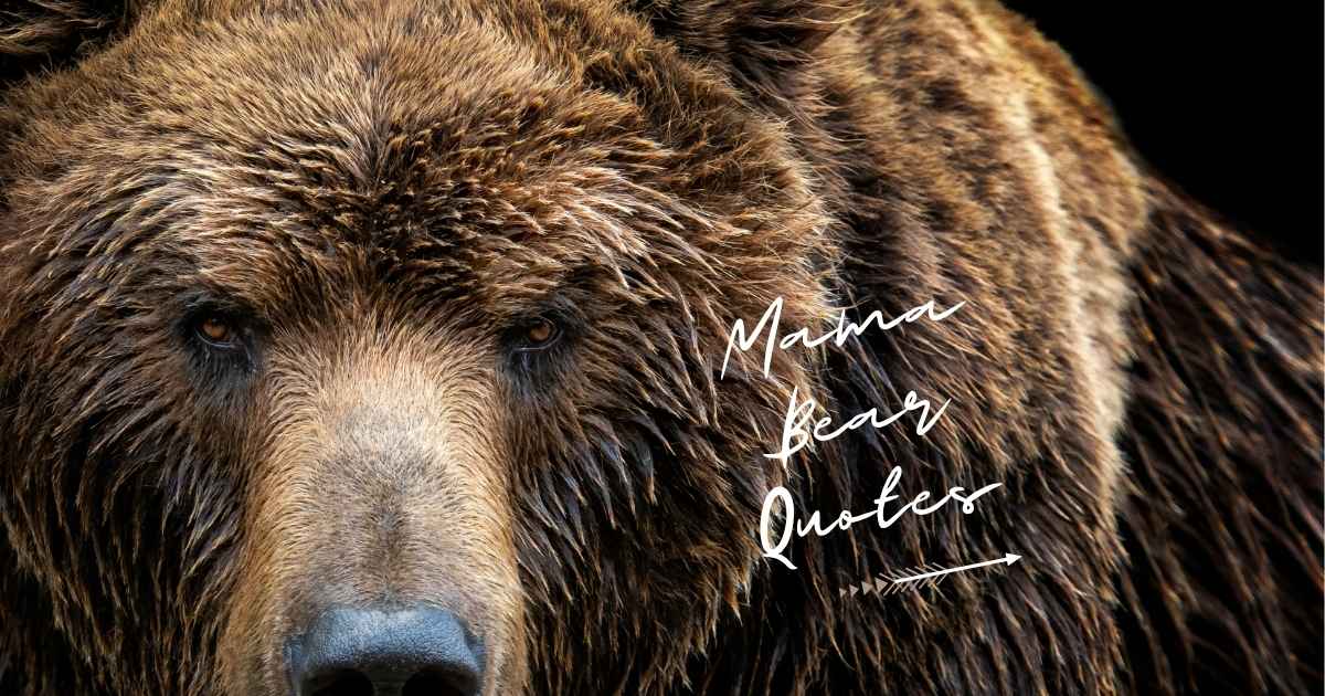 Mama Bear Quotes