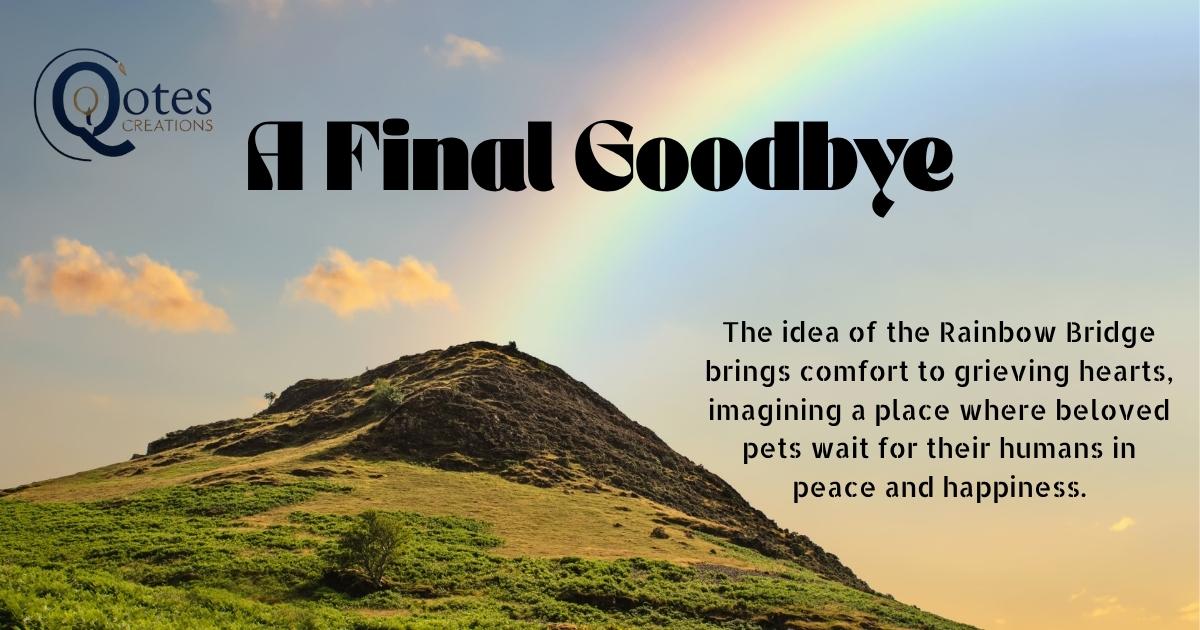 Rainbow Bridge Quotes