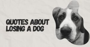 Quotes About Losing a Dog