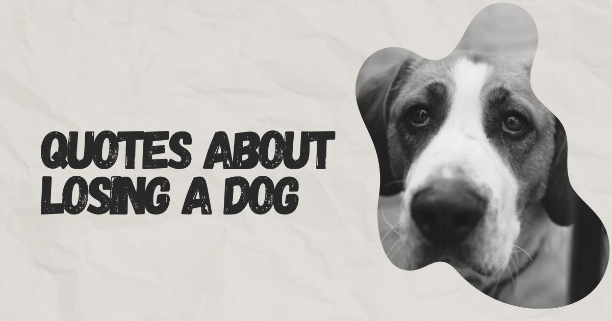 Quotes About Losing a Dog